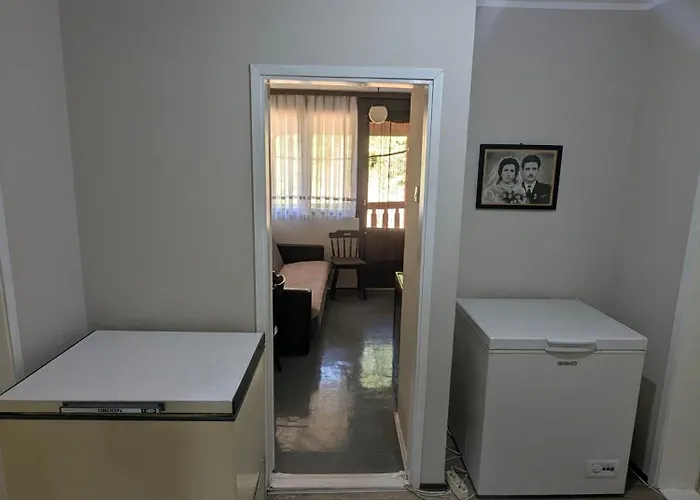 Gordana Senjski Rudnik